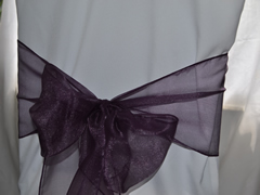 Organza Chair Sash